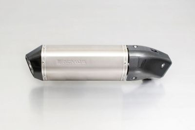 HEXACONE, Slip on (Schalldämpfer) mit Carbon Hitzeschutzabdeckung, Titan, CH Genehmigung